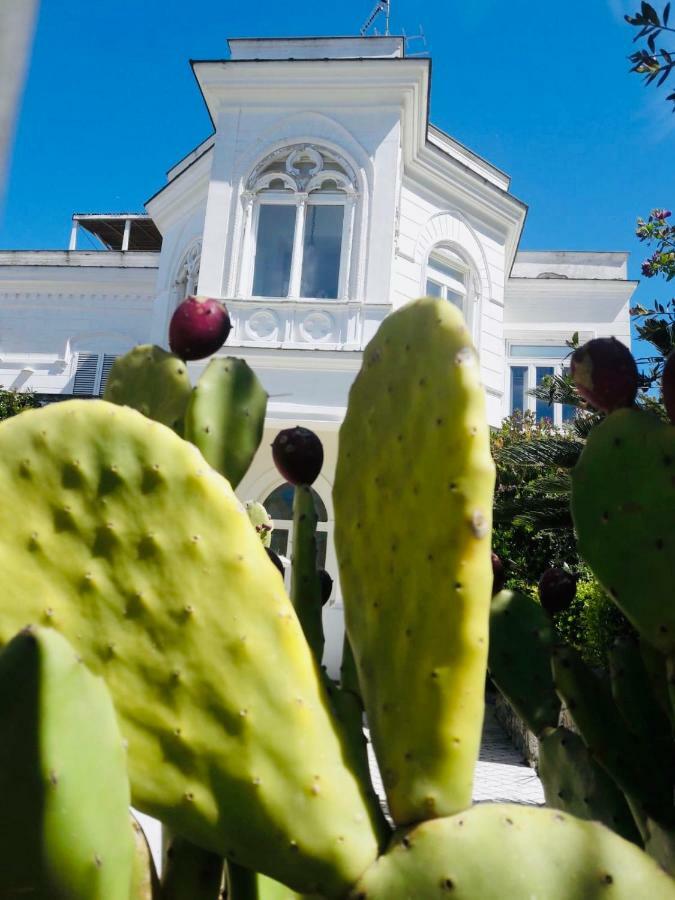 أناكابْري Villa Alessandro - Anacapri المظهر الخارجي الصورة